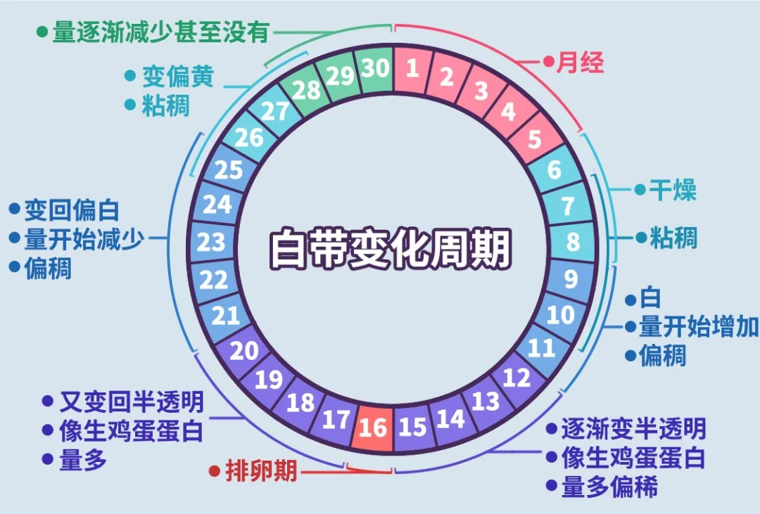 640 (5).png 640 (5).png