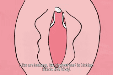 640 (2).gif